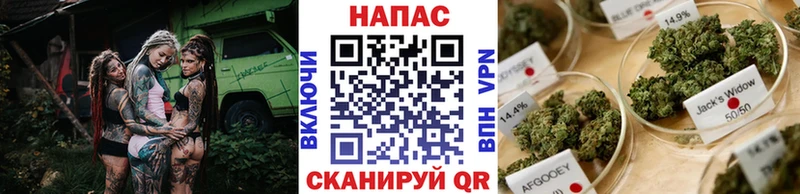 Шишки марихуана индика  omg ссылки  Харабали 